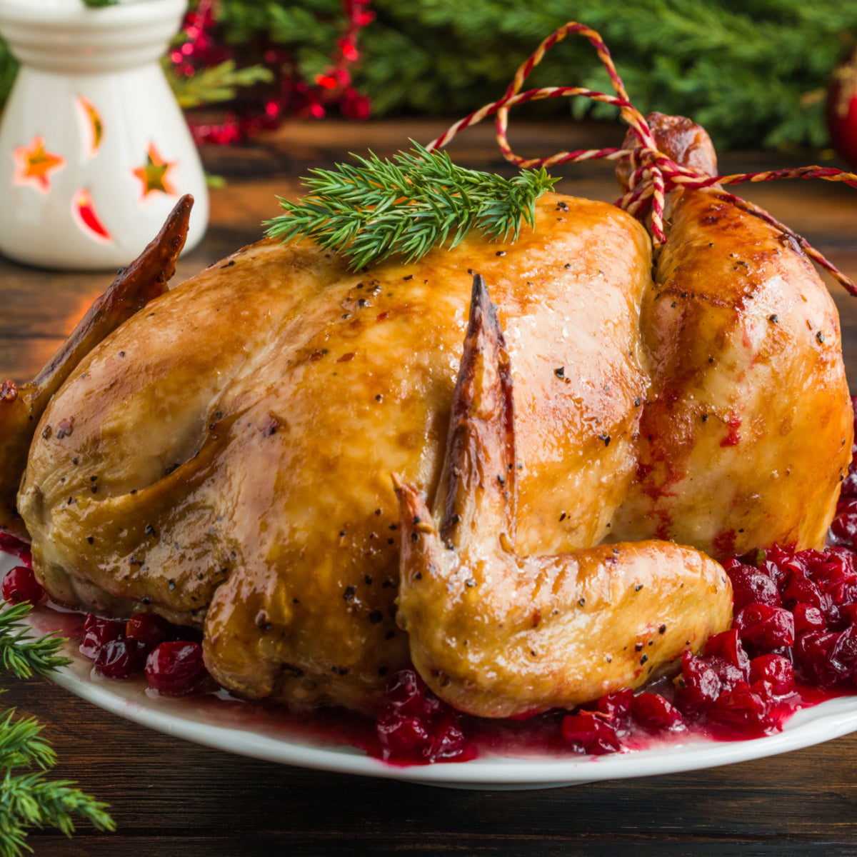 Turkey & Cranberry Family Pie